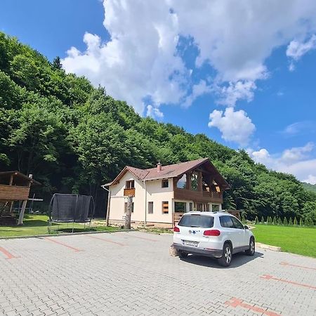 Pensiune Subcrai Cu Centru Spa Zărneşti Exterior foto